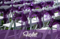 Fiolet