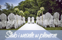 �lub w plenerze