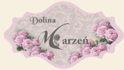 Pracownia Artystyczna Dolina Marzeń, sklep internetowy, Katowice