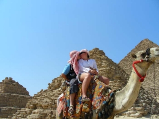 2008 - Calus pod piramidami