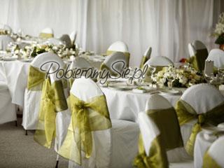 dekoracje ślubne, dekoracje krzeseł
