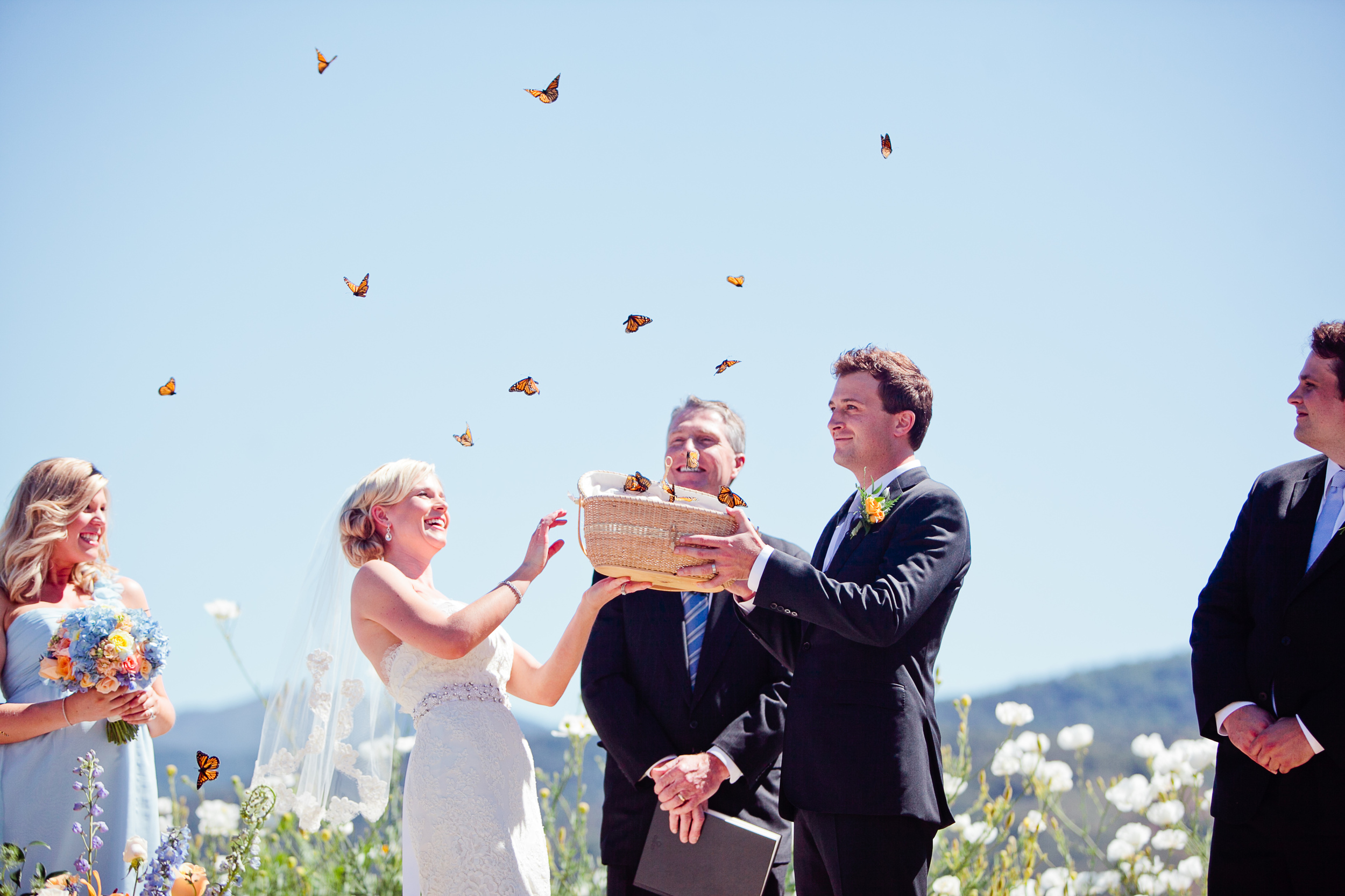 Motyle na ślub
